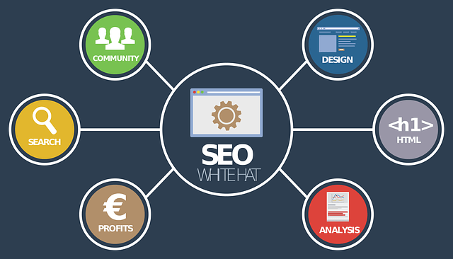 What are the Benefits of Seo for Your Business Website