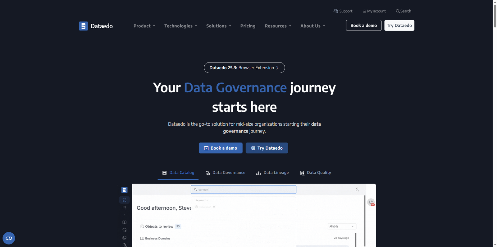 Dataedo